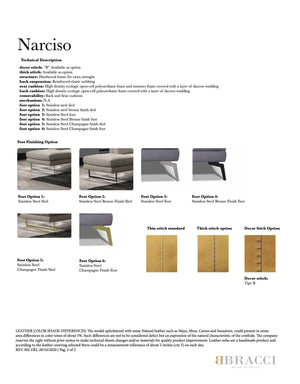 Narciso