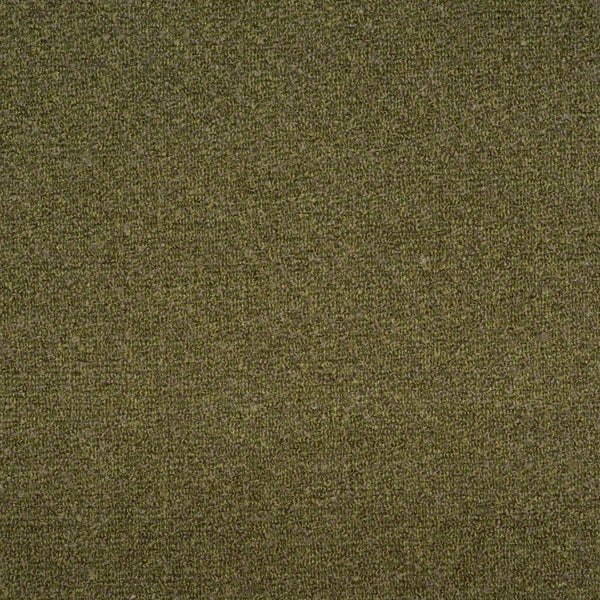 Sonora
